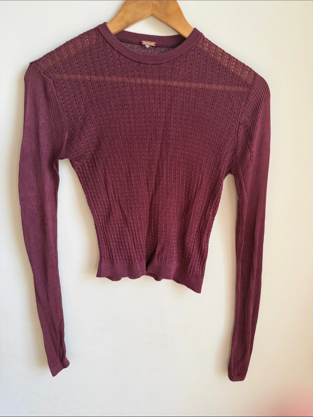 Free People Sheer Knit Linen Type Long Sleeve Crop Micro Top Maroon